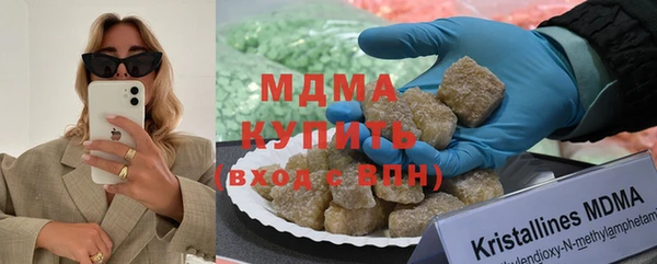 амф Гусь-Хрустальный