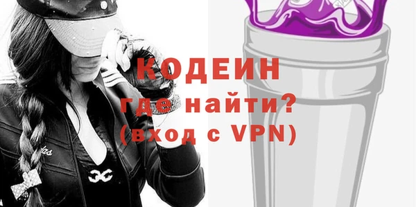 амф Гусь-Хрустальный
