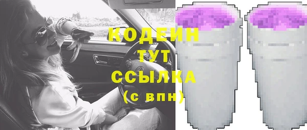 2c-b Гусев