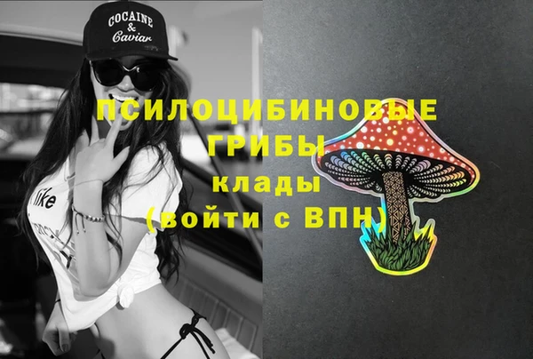 2c-b Гусев