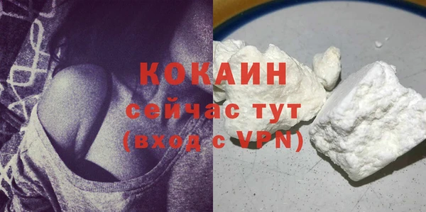 амф Гусь-Хрустальный