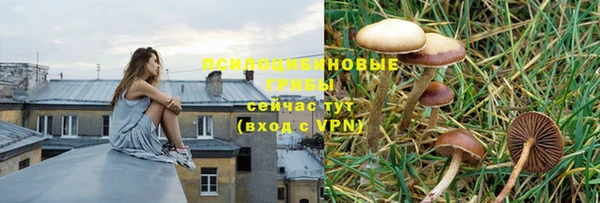 прущие крисы Гусиноозёрск
