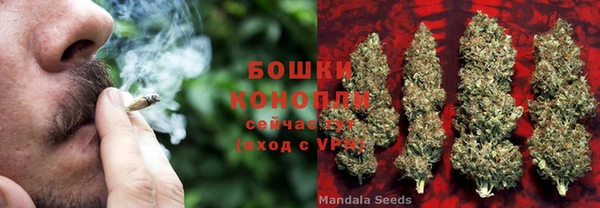 2c-b Гусев