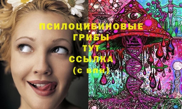 2c-b Гусев