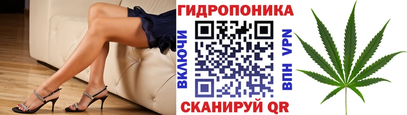 Канабис MAZAR Кириши